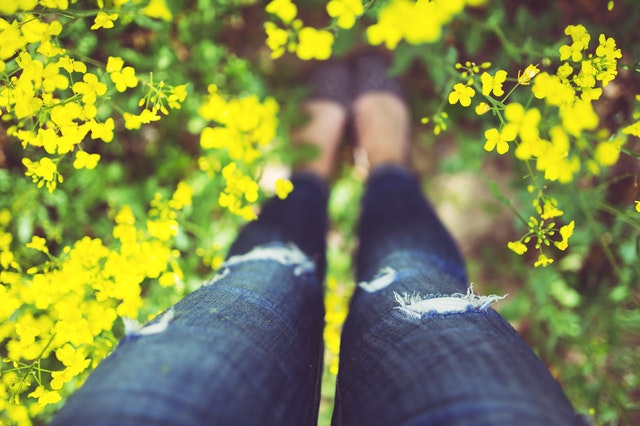 Looking down at flowers