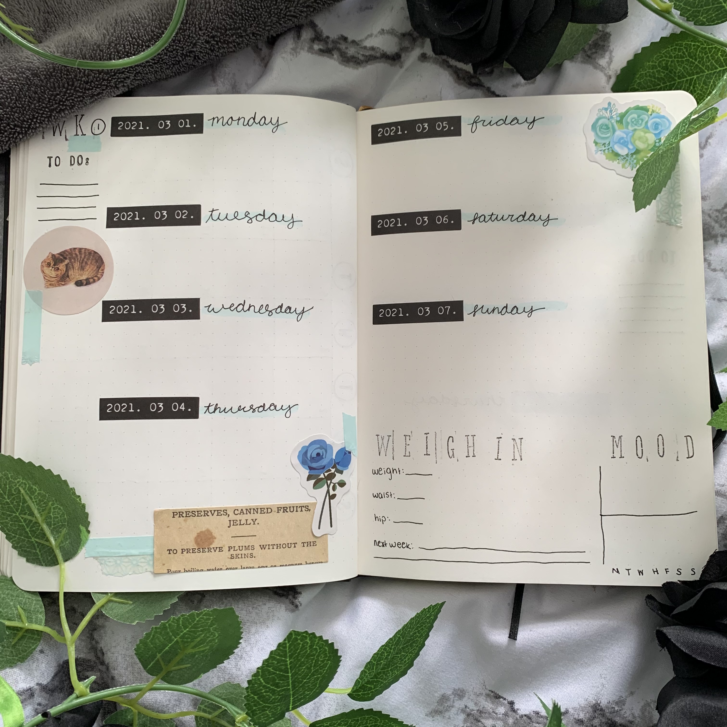 March 2021 Bullet Journal - Weekly Spread