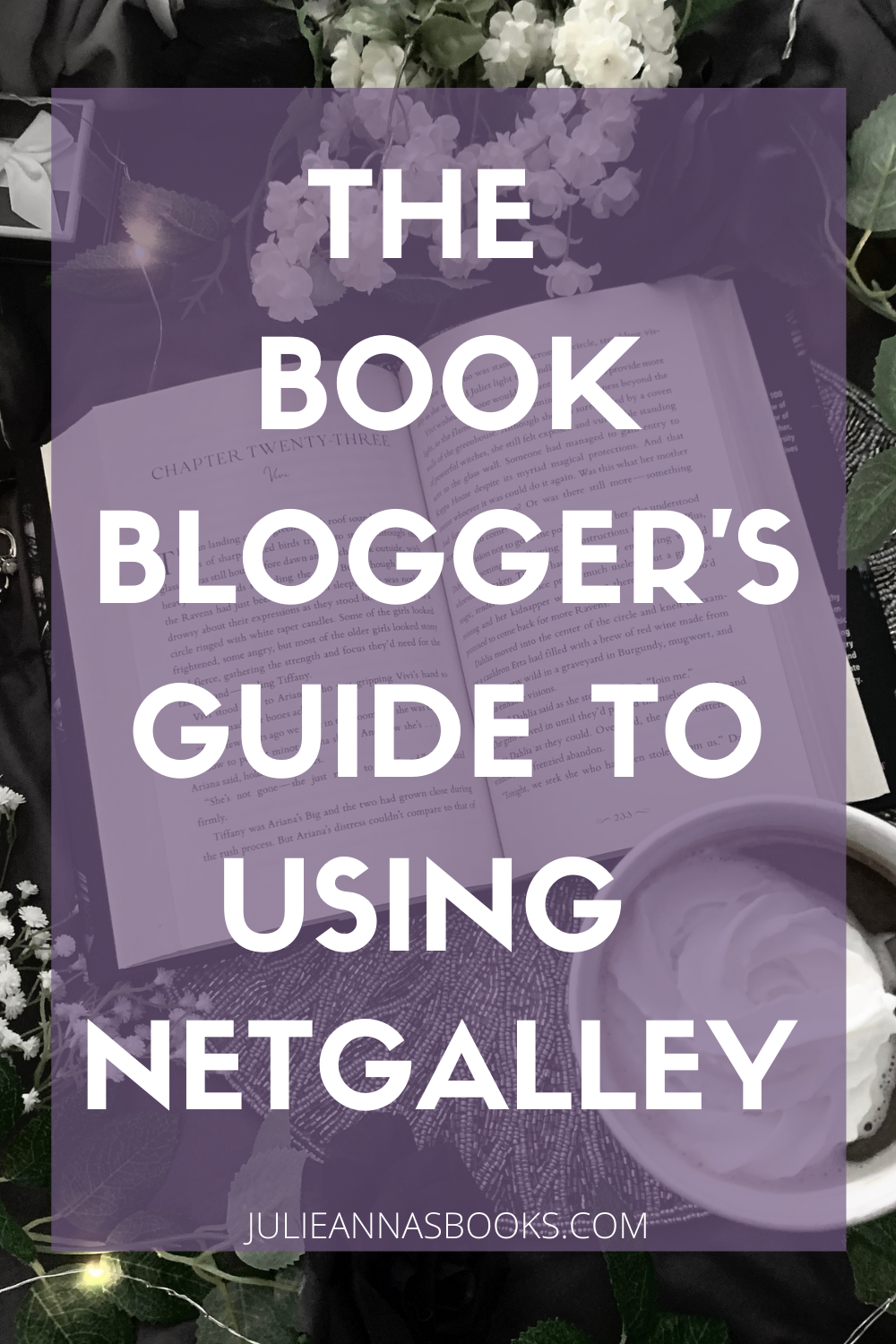 The Book Blogger's Guide to Using NetGalley Pin