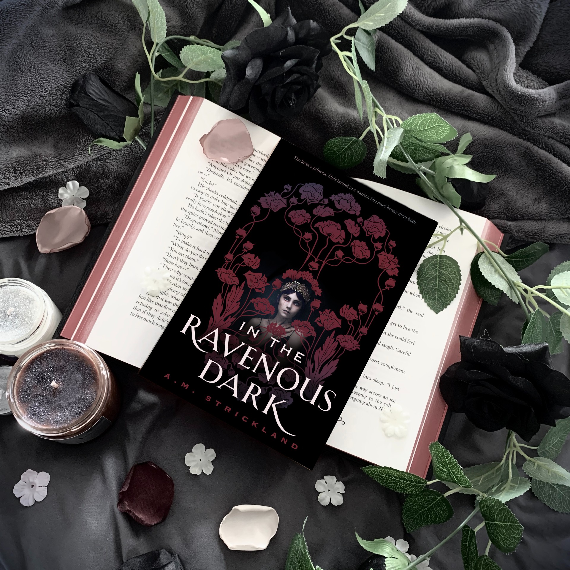 Review: In the Ravenous Dark by A.M. Strickland - Julie Anna's Books