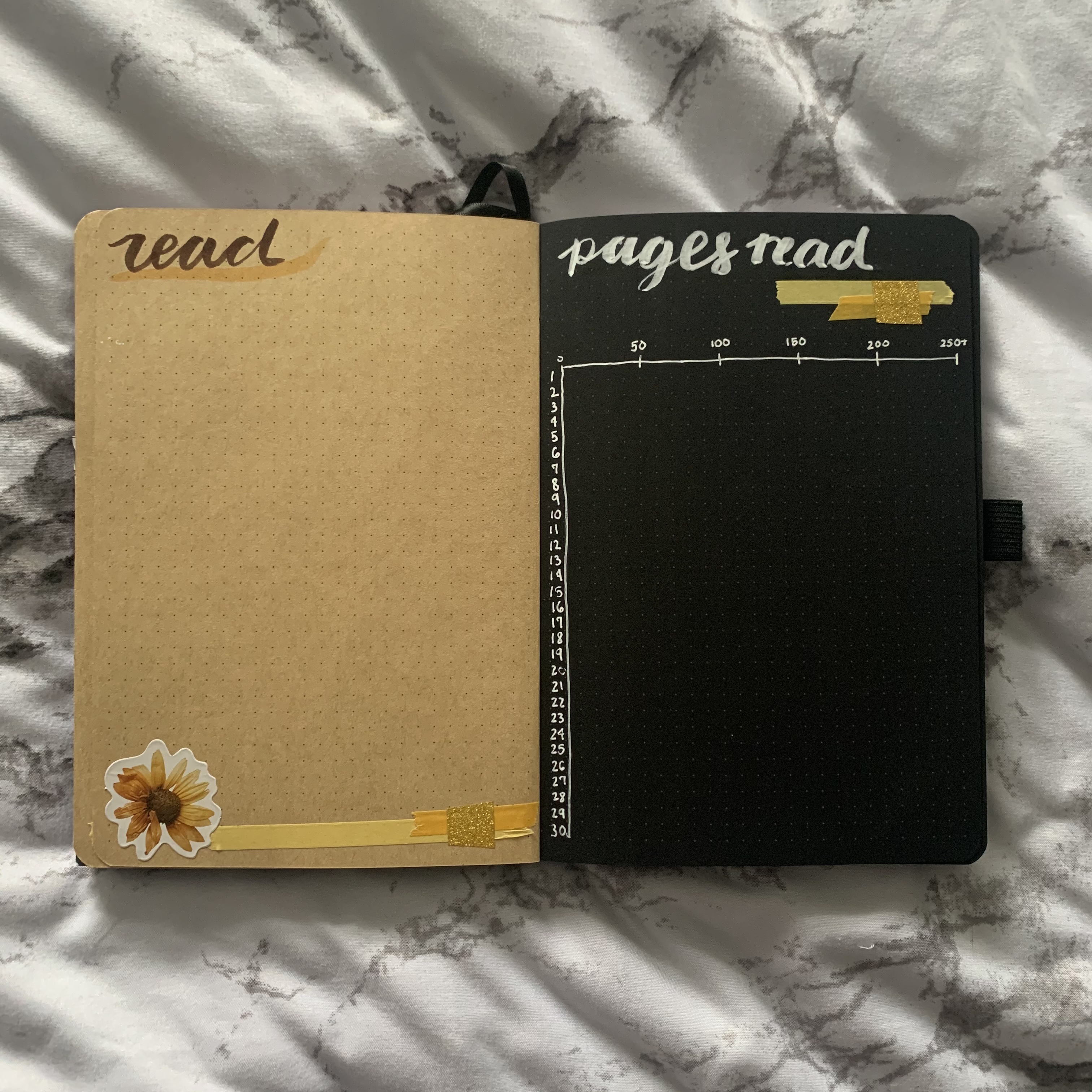 June 2021 Bullet Journal - Read and Pages Read