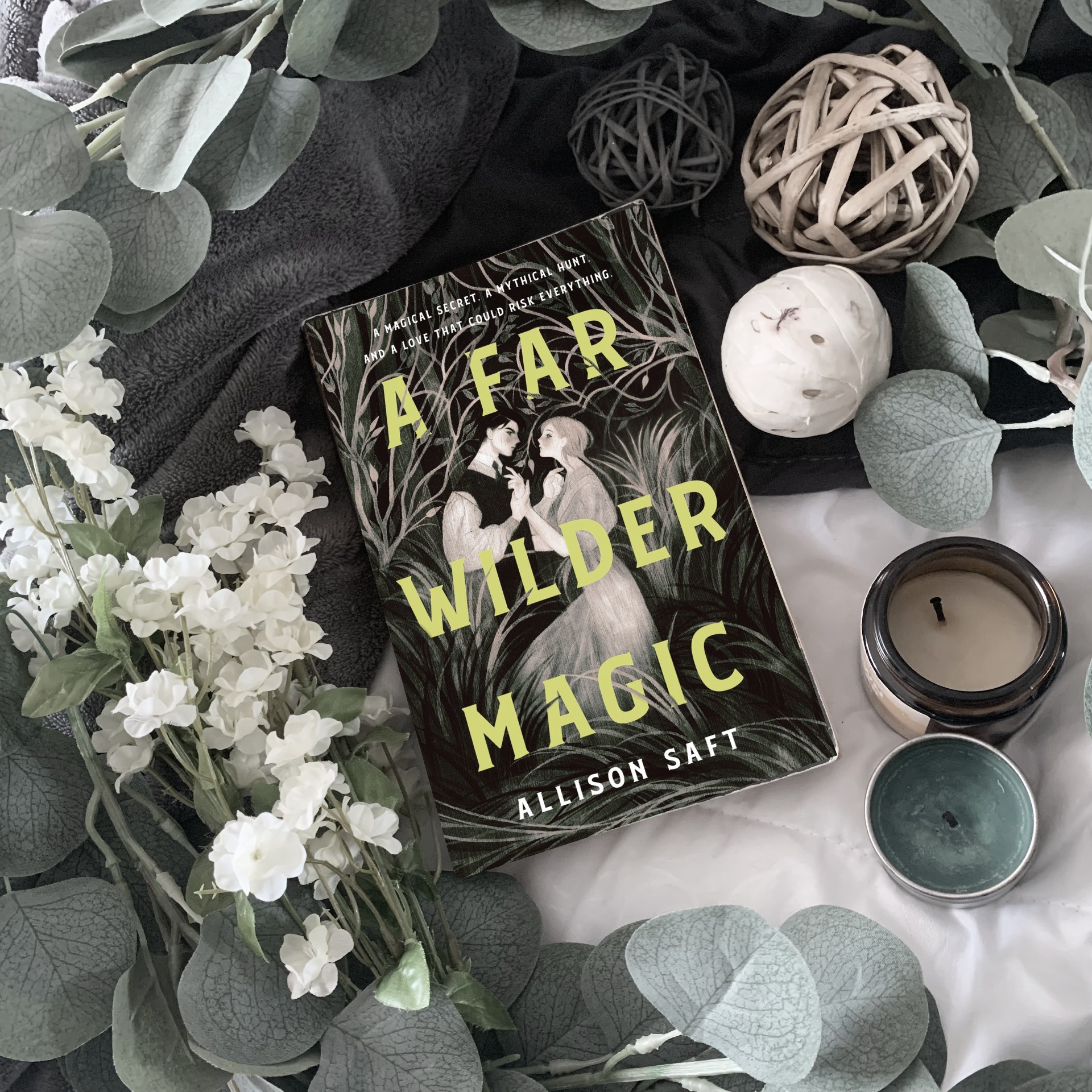 Review A Far Wilder Magic by Allison Saft Julie Anna s Books